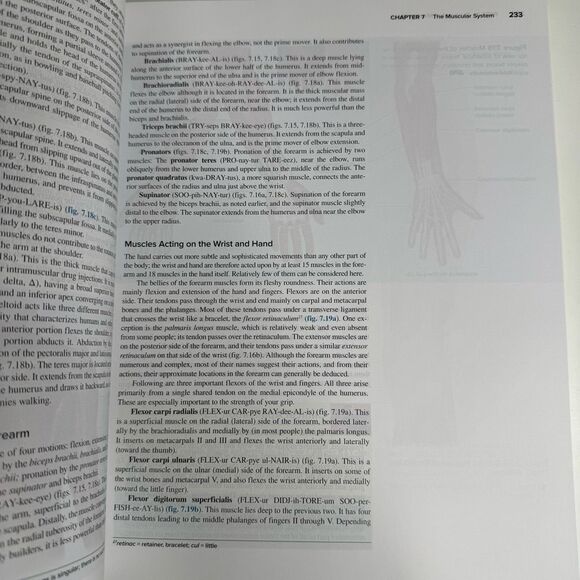 Essentials of Anatomy & Physiology, Third Edition, by Kenneth S. Saladin and Rob - Picture 3 of 4